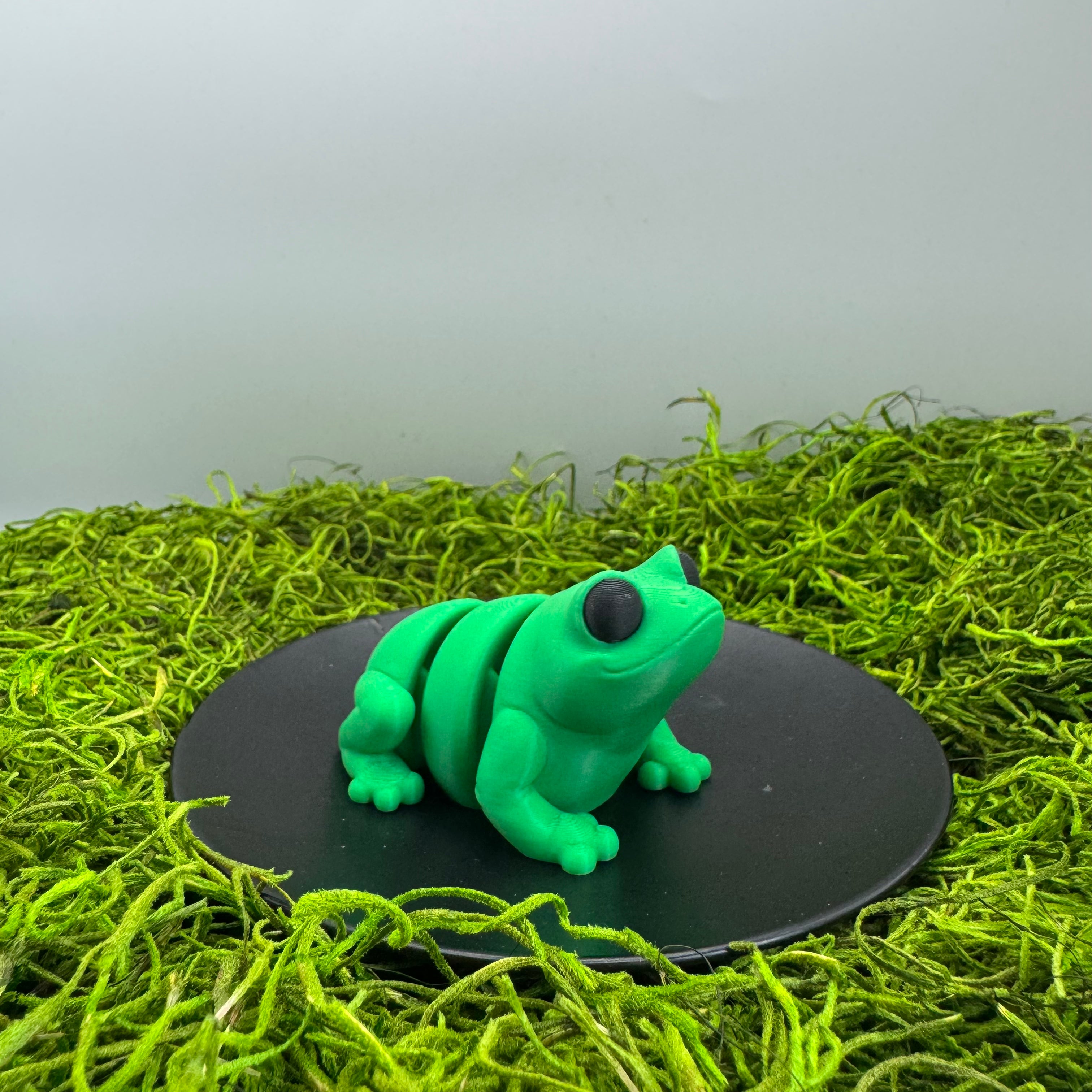 Frog - Articulated 3D Print Animal
