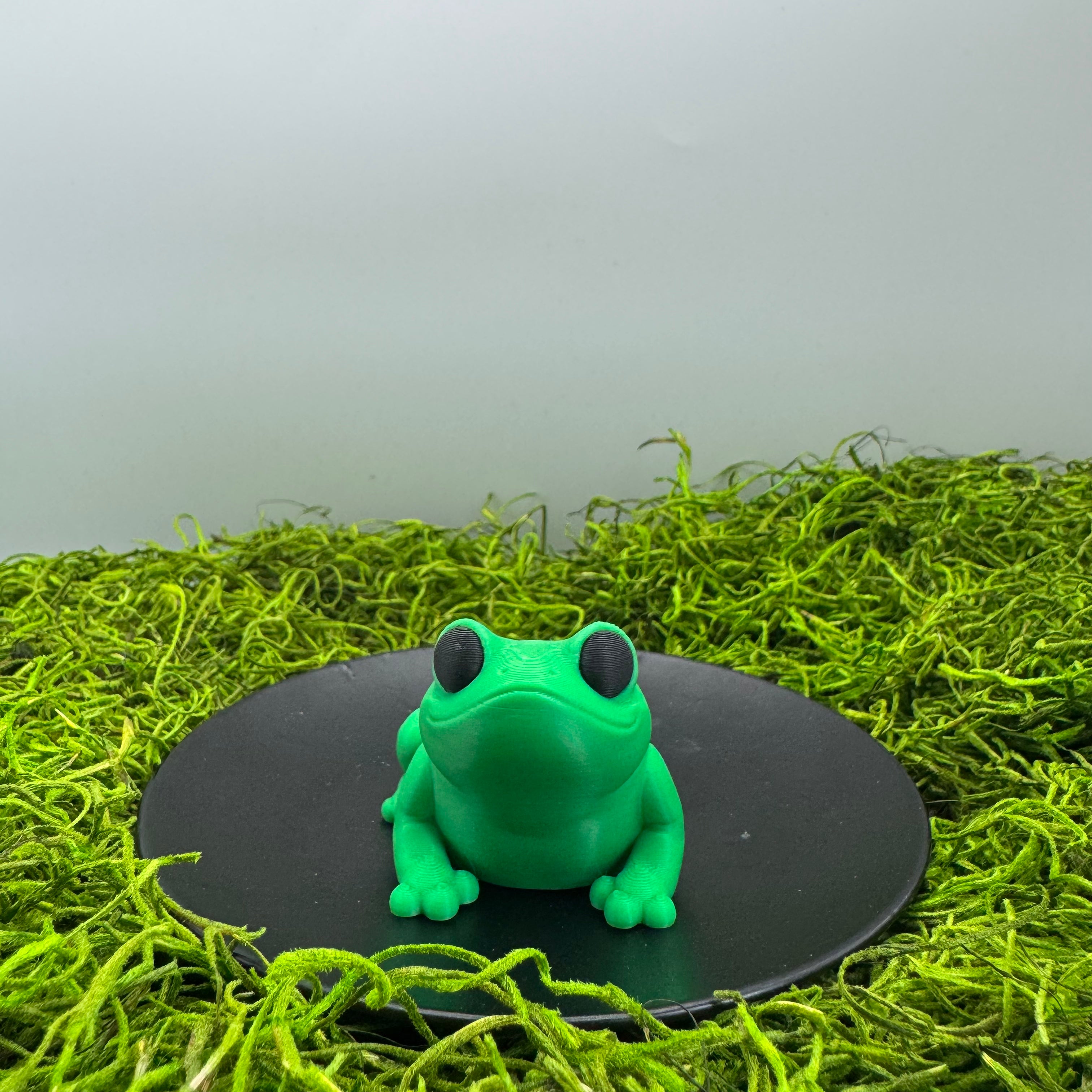 Frog - Articulated 3D Print Animal