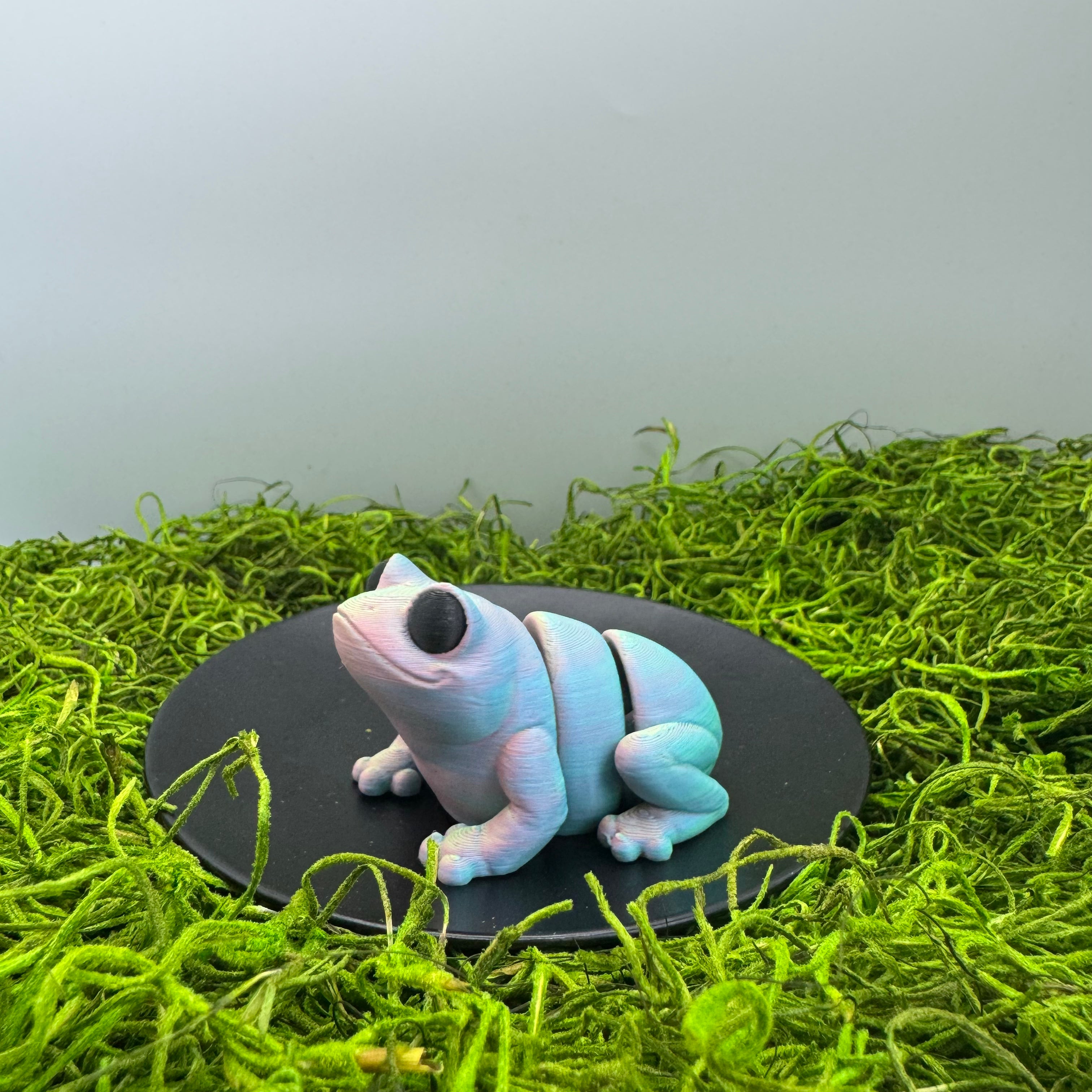 Frog - Articulated 3D Print Animal