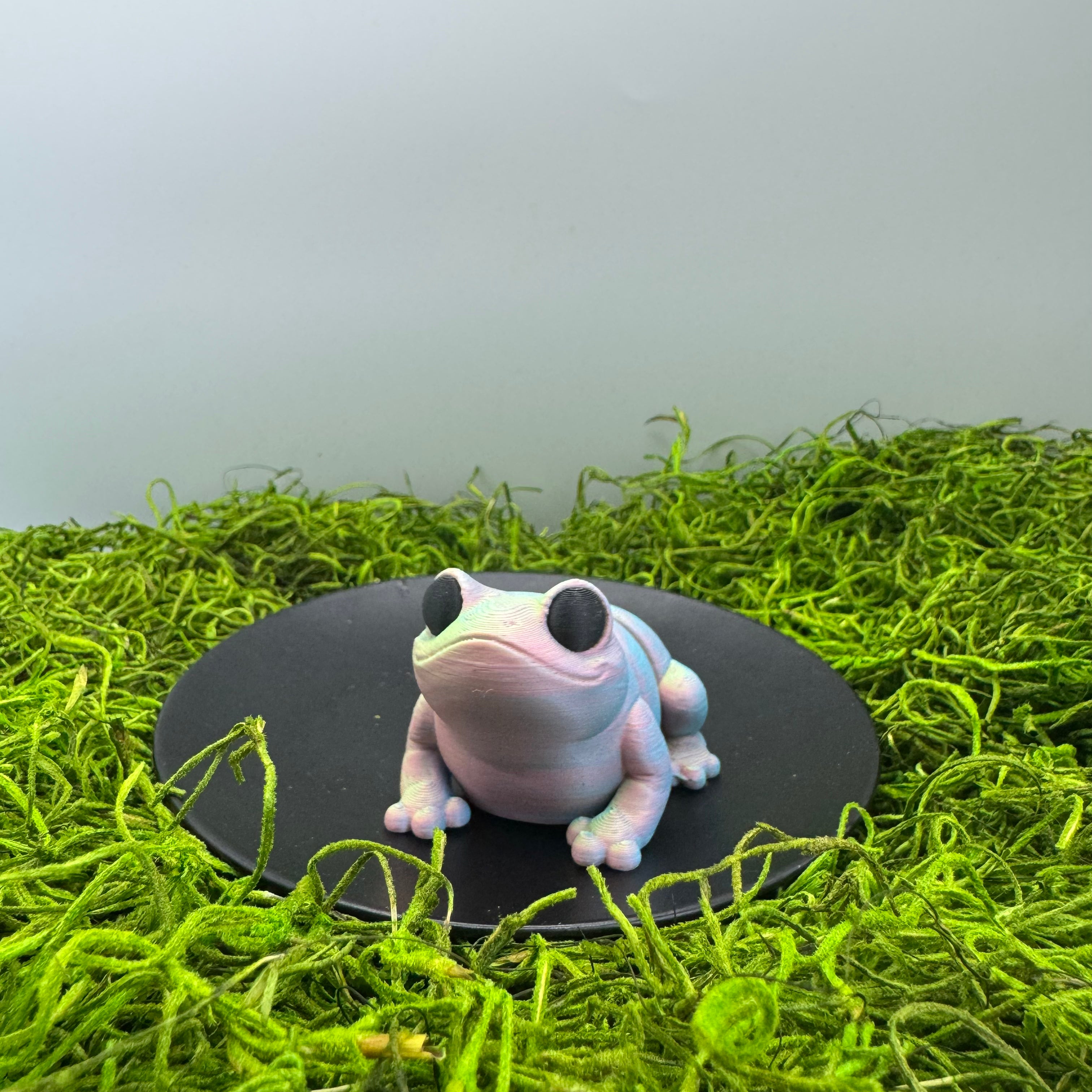 Frog - Articulated 3D Print Animal